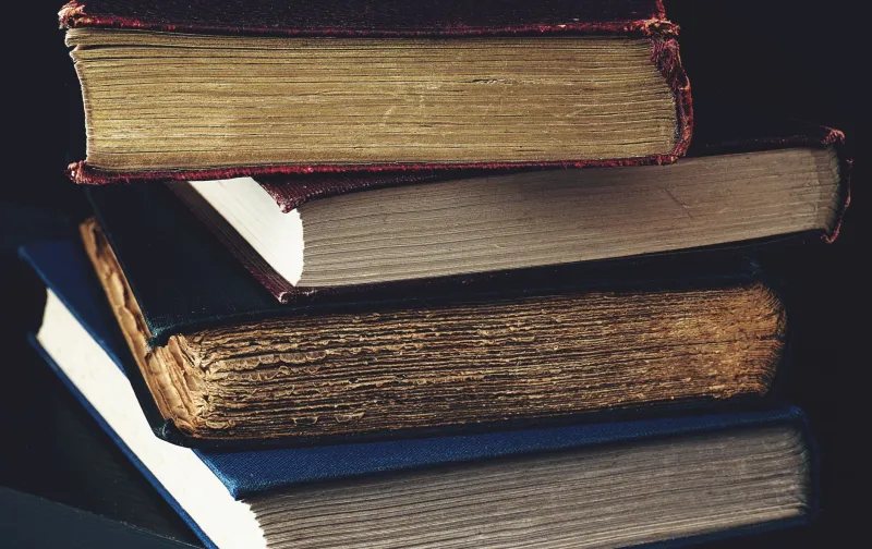 Dictionaries Built on Borrowed Tongues: The Black Language Scholars America's Linguistics Establishment Refused to Cite