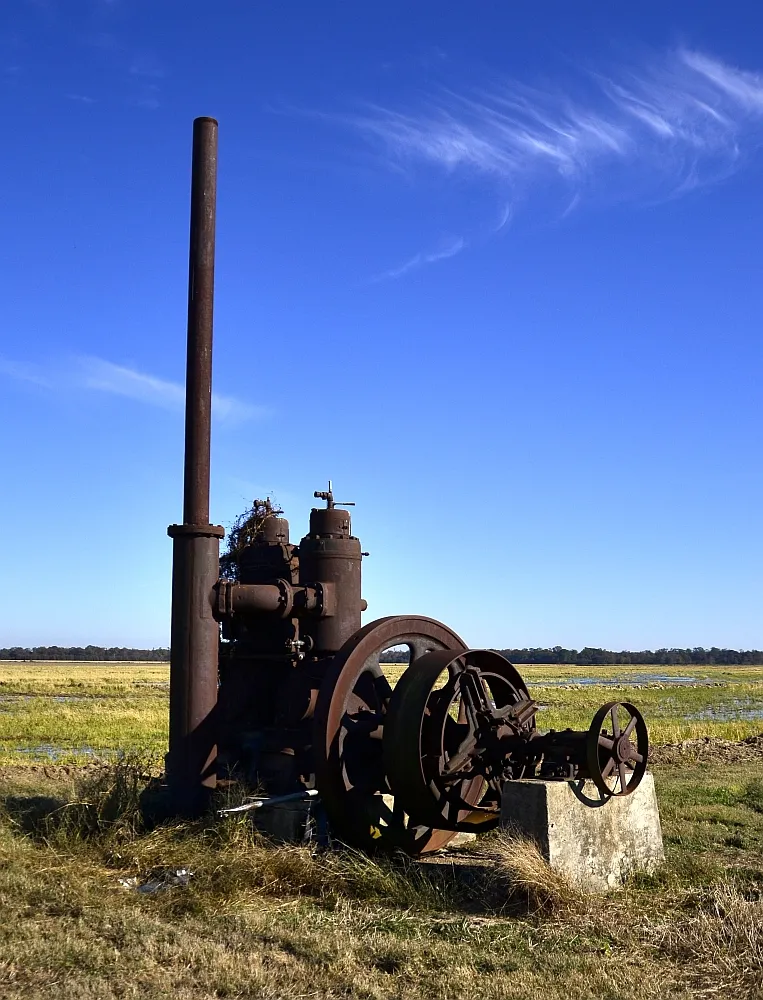 Water, Soil, and Stolen Credit: The Enslaved African Engineers Who Built the Antebellum South's Agricultural Empire
